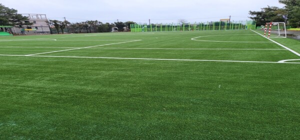 친환경 인조잔디. /한국체육시설공업협회 제공