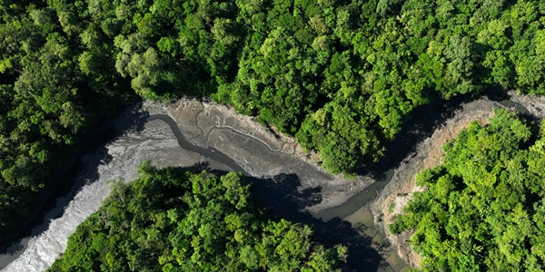 아마존 열대우림. / 연합뉴스.  