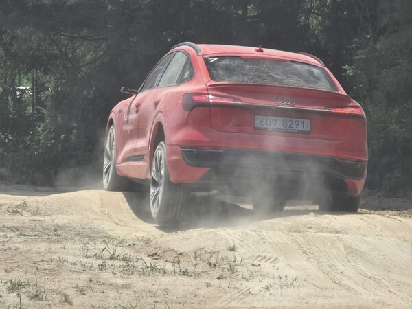 아우디 Q8 e-트론. /박시하 기자