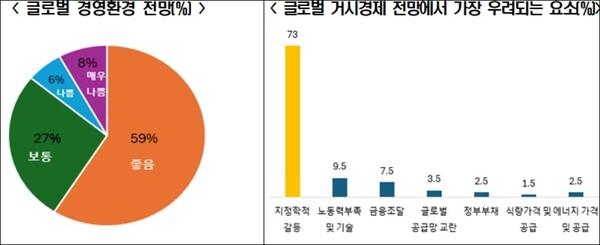 BIAC 2024 Economic Policy Survey