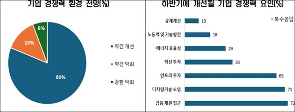 BIAC 2024 Economic Policy Survey