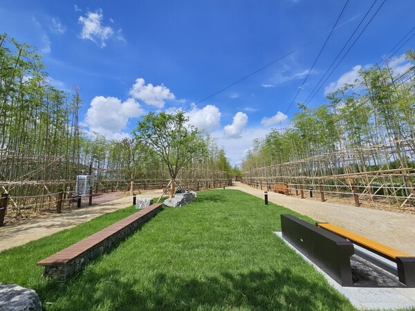 도시바람길숲 조성사업인 ‘아롱개 문화공원’을 7월 26일(금)에 개장하여 시민들에게 힐링 명소로 제공할 계획이다. 도시바람길숲 조성사업은 미세먼지, 열섬현상 등 각종 대기환경 문제를 바람길숲을 조성하여 생활환경을 개선하는 사업이다./ 안성시 제공