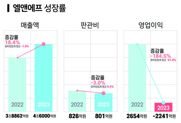 엘앤에프 성장률.