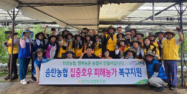 택시자원봉사센터(센터장 손영희)는 지난 7월 집중호우로 큰 피해가 있는 토마토 하우스 농가의 수해복구를 위해 적극적인 봉사활동을 전개하고 있다./ 평택시 제공