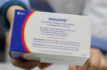 서울 시내 약국에 공급된 코로나19 경구 치료제 ‘팍스로비드’. /연합뉴스