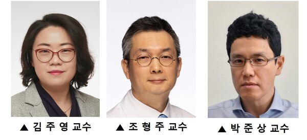 국내 연구진이 기존의 주사제를 대체할 뿌리는 알러지성 호흡기질환 치료제를 개발했다./연세대학교 의료원 제공