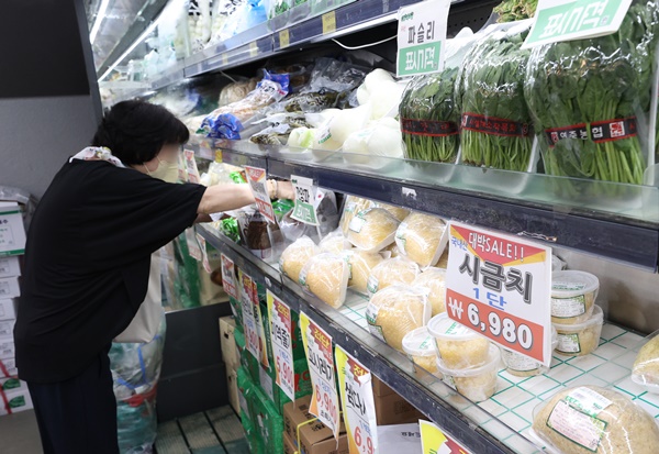 8월 생산자 물가가 공산품을 중심으로 하락 전환했으나 배추와 시금치 가격이 큰 폭으로 오르며 농림수산품 물가는 상승했다. /연합뉴스.