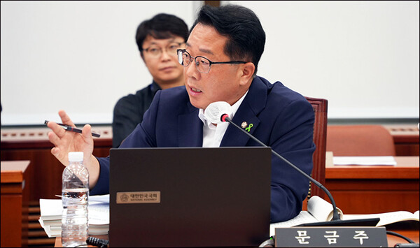 더불어민주당 문금주 의원이 질의하고 있다. /의원실 제공