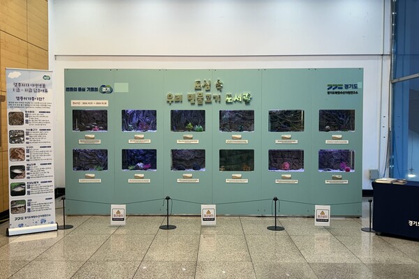 의왕시중앙도서관 내 ‘책마루작은미술관’에서는 10월 한 달간 시민 누구나 높은 수준의 예술 작품과 일상에서 쉽게 접할 수 없는 토종 민물고기를 만날 수 있다./의왕시 제공