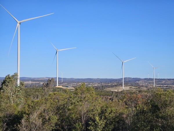 고려아연은 호주 자회사 아크에너지가 지분 투자한 맥킨타이어(MacIntyre) 풍력발전소가 지난 4일 첫 가동에 들어갔다고 8일 밝혔다.