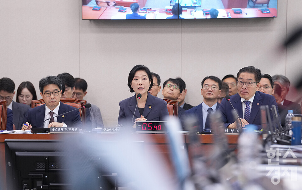 8일 서울 여의도 국회에서 산업통상자원중소벤처기업위원회 국정감사가 열리고 있다. 오영주 중소벤처기업부 장관이 의원 질의에 답변하고 있다. /최대성 기자 dpdaesung@sporbiz.co.kr 2024.10.08.