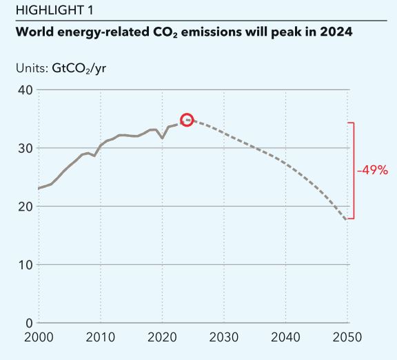 올해 전 세계 탄소 배출량이 정점에 도달하고, 2025년부터는 감소세로 돌아설 가능성이 높다는 전망이 나왔다. / 사진=DNV 보고서 갈무리