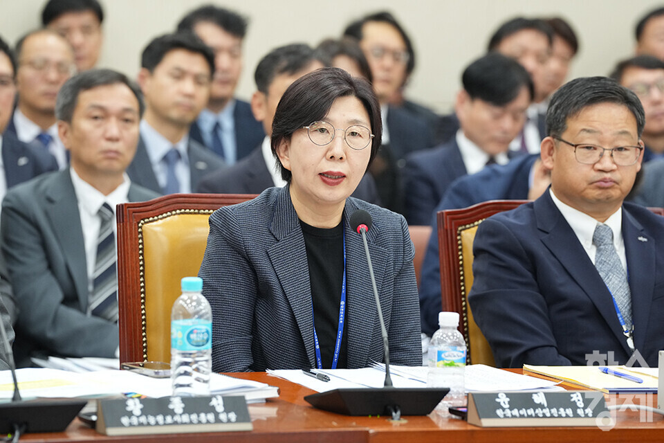 10일 서울 여의도 국회에서 과학기술정보방송통신위원회 국정감사가 열리고 있다. 윤혜정 한국데이터산업진흥원 원장이 의원 질의에 답변하고 있다. /최대성 기자 dpdaesung@sporbiz.co.kr 2024.10.10.