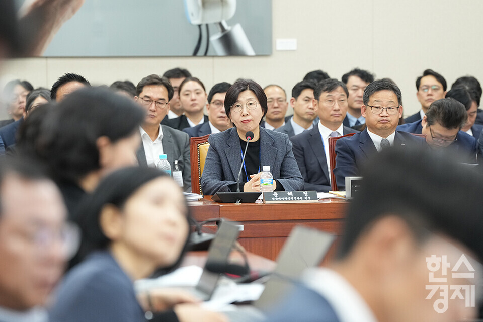 10일 서울 여의도 국회에서 과학기술정보방송통신위원회 국정감사가 열리고 있다. 윤혜정 한국데이터산업진흥원 원장이 의원 질의를 듣고 있다. /최대성 기자 dpdaesung@sporbiz.co.kr 2024.10.10.