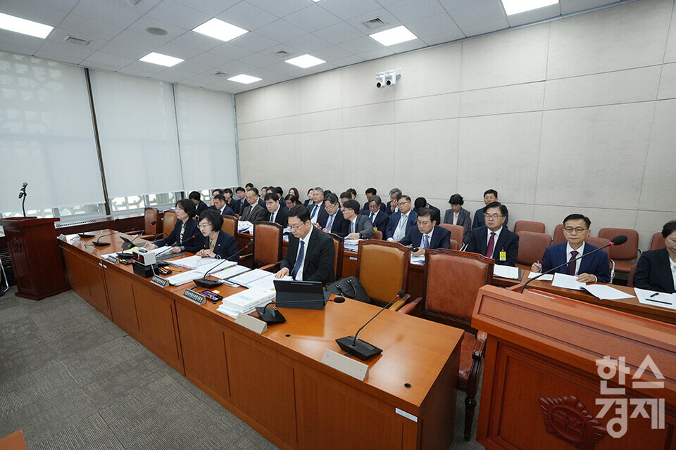 10일 서울 여의도 국회에서 보건복지위원회의 보건복지부, 질병관리청에 대한 국정감사가 열리고 있다. /최대성 기자 dpdaesung@sporbiz.co.kr 2024.10.10.