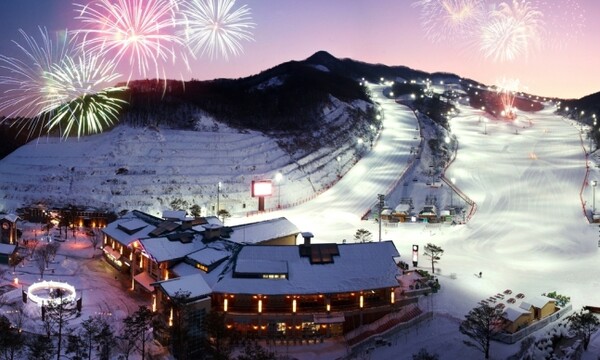 스키장 전경. /한국스키장경영협회 제공