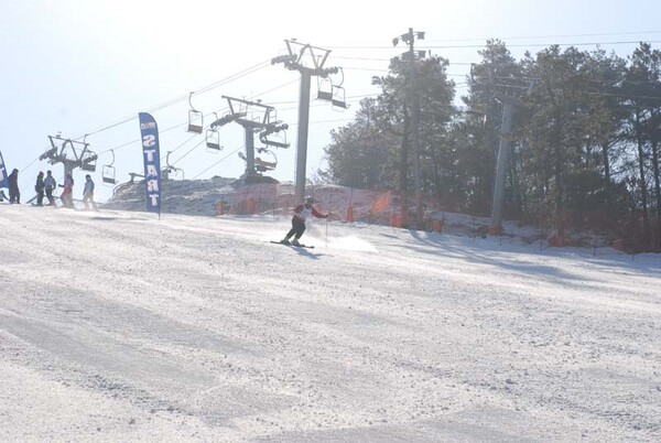 스키장 모습. /한국스키장경영협회 제공
