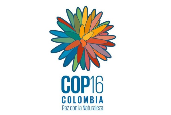 유엔 생물다양성협약 당사국총회(COP16)가 현지시간 21일 콜롬비아에서 개최된다. / 사진=COP16 홈페이지 갈무리