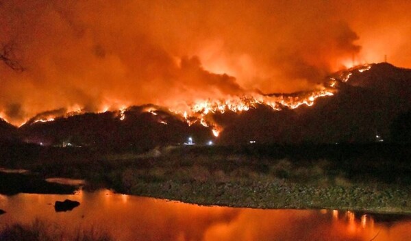 전 세계 화재 연기 관련 사망자 중 기후변화에 따른 산불 연기로 인한 사망자가 19배 증가했다는 연구 결과가 발표됐다. 사진은 2022년 강원 삼척 산불. / 사진=연합뉴스