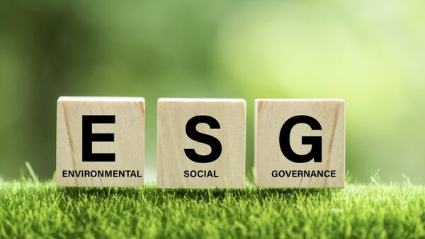 ESG 평가기관의 평가업무 기준과 절차를 규정한 ‘ESG 평가기관 가이던스’가 시행된 지 1년이 지났지만 평가기관 내 이해상충, 평가기준 해석 어려움 등의 이유로 ESG평가에 대한 기업들의 신뢰도가 여전히 낮은 것으로 나타났다. / 연합뉴스 