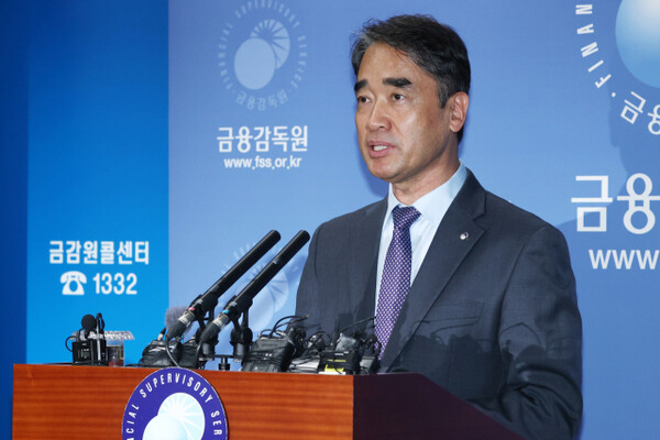 함용일 금융감독원 부원장이 지난달 31일 서울 여의도 금융감독원에서 최근 자본시장 현안 관련 브리핑을 하고 있다. / 사진=연합뉴스.