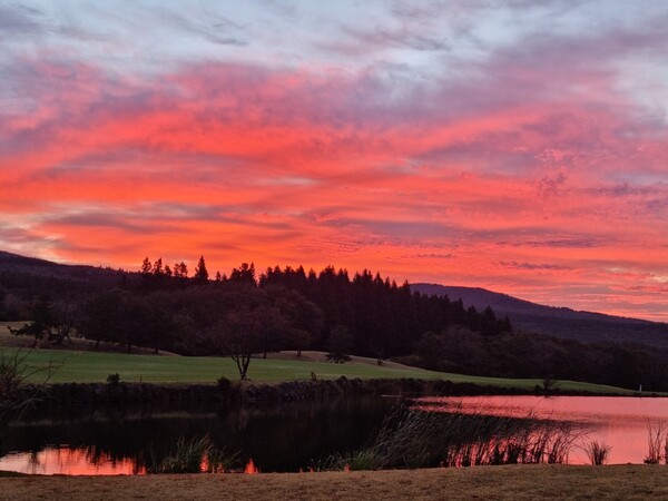타미우스CC 코스 전경. /타미우스CC 제공