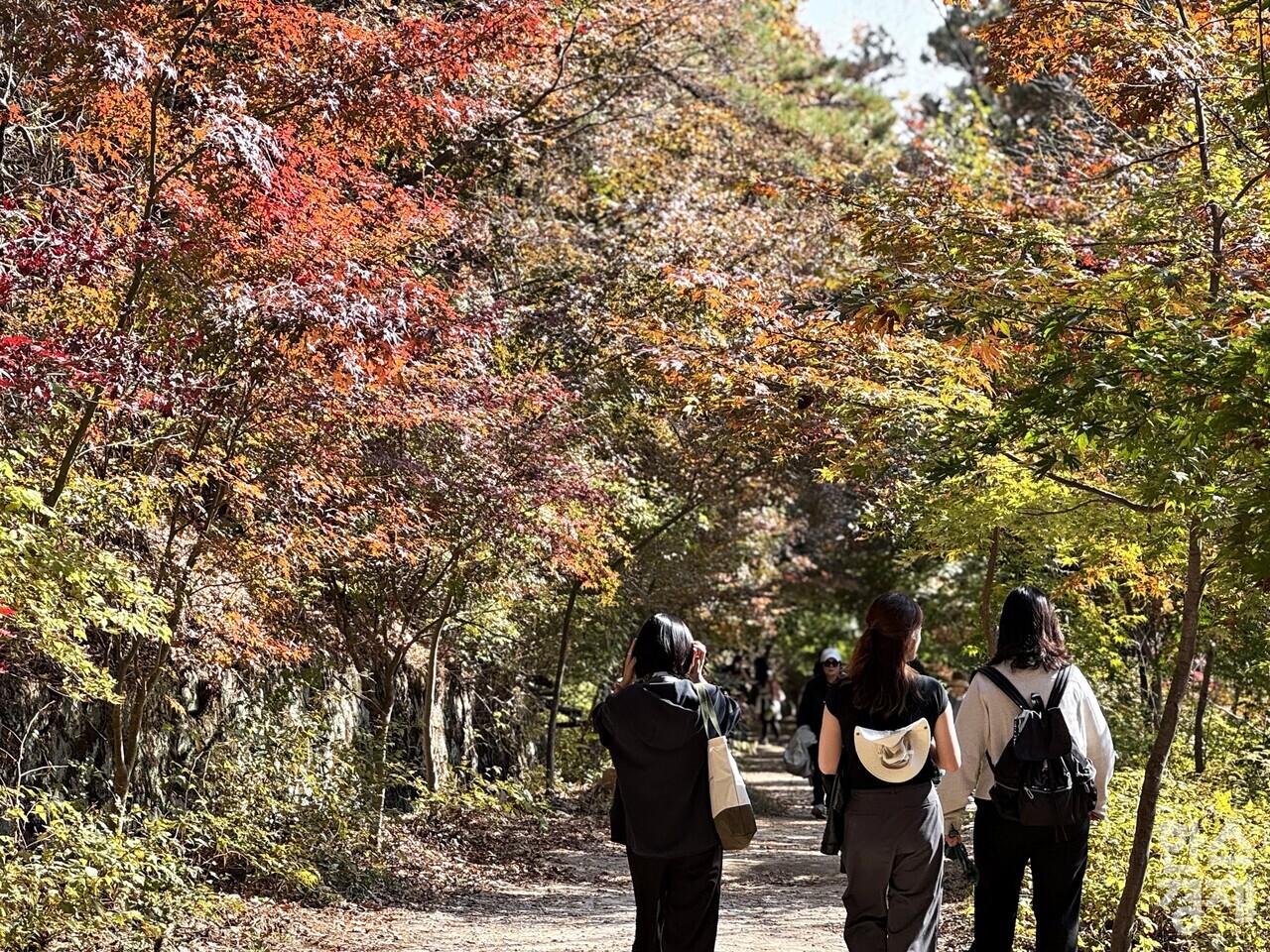 북한산 우이령길 걷는 방문객들. /강상헌 기자