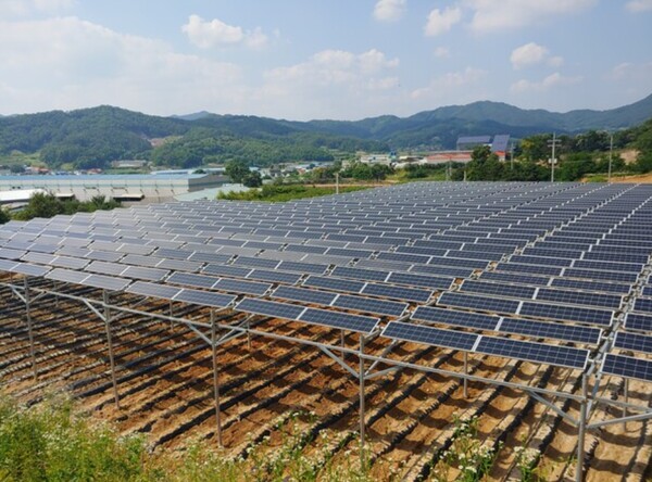 영농형 태양광이 농업과 태양광 발전을 병행해 소득을 창출하는 혁신적인 방안으로 주목받고 있다. /  한국영농형태양광협회