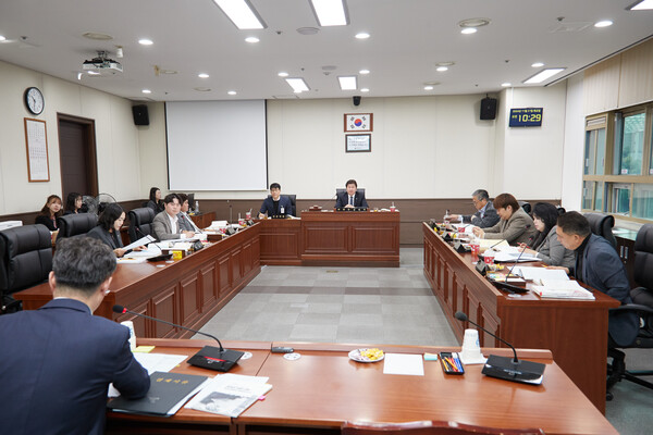 용인특례시의회 자치행정위원회(위원장 김진석)는 지난 21일, 시민소통관, 감사관, 공보관, 법무담당관, 청년담당관에 대한 행정사무감사를 진행했다.