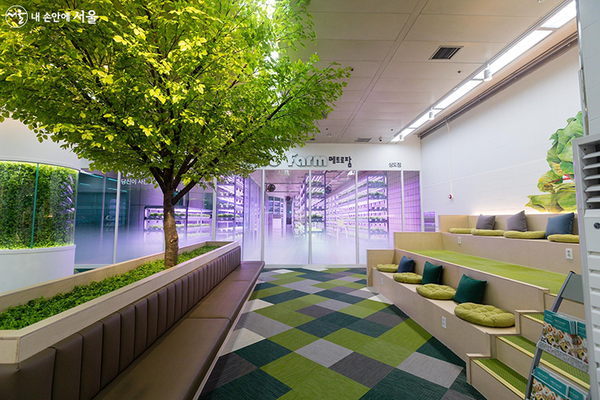 7호선 상도역 내 메트로팜 리뉴얼 후 재배실 및 유휴공간. / 사진=서울시.