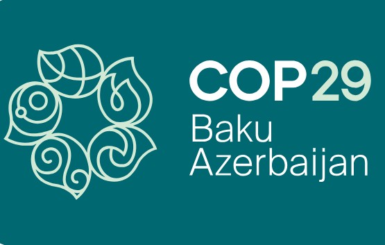 제29차 유엔기후변화협약 당사국총회(COP29) CI. / 사진=COP29 홈페이지
