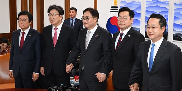 여당이 우원식 국회의장의 제안을 수용해 여야정 국정협의체에 참여하기로 했다고 밝혔다. / 사진=연합뉴