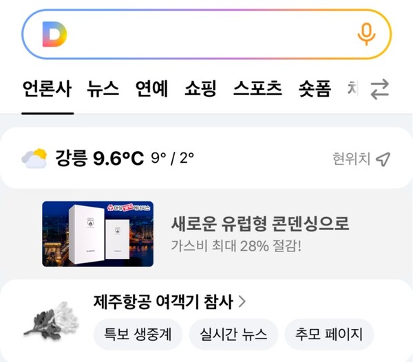 다음 모바일 앱 화면./