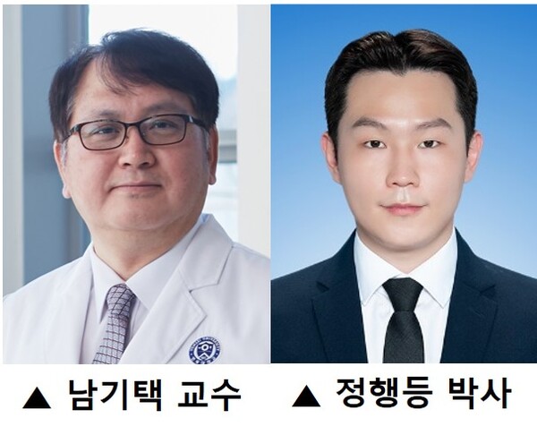 (왼쪽부터) 연세대 의대 의생명과학부 남기택 교수, 정행등 박사./세브란스 병원 제공
