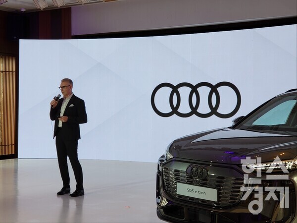 13일 서울 중구에 위치한 신라호텔 영빈관에서 열린 신년 미디어 라운드테이블에서 스티브 클로티 아우디 코리아 사장이 발언하고 있다. /최창민 기자