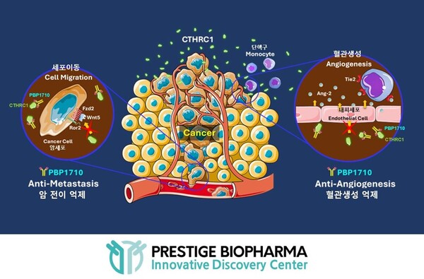 항체신약 'PBP1710' 작용 기전. /프레스티지바이오파마 제공