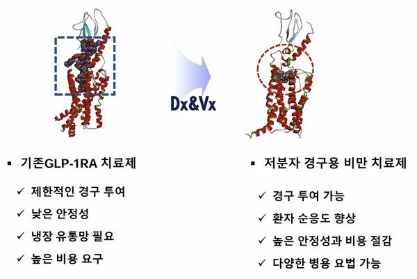 기존의 주사제 비만치료제의 한계를 극복한 GLP-1 RA. / 디엑스앤브이엑스 제공