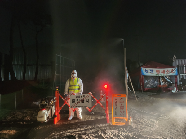 전남 함평의 오리농장에서 조류인플루엔자 항원이 검출돼 농장 통제에 나섰다. /전남도 제공