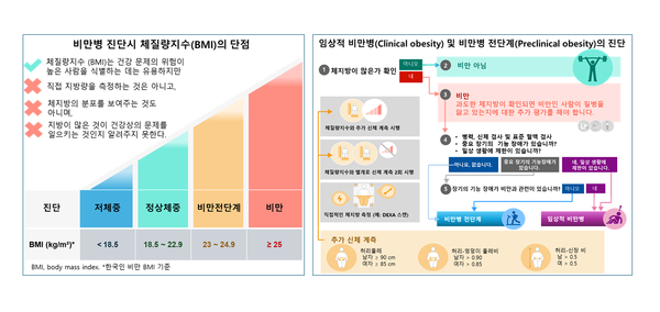 비만명 진단시 BMI 단점과 임상적 비만병, 비만병 전단계의 진단./분당서울대병원 제공