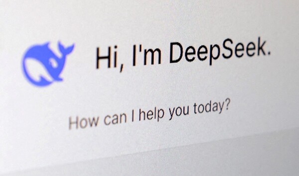 딥시크가 15일(현지시간) 개인정보 처리방침을 일부 수정했다.  / 딥시크.