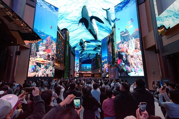 인스파이어의 랜드마크 중 하나인 몰입형 디지털 엔터테인먼트 거리 ‘오로라’의 화려한 미디어 쇼를 감상하기 위해 모인 관람객들. /모히건 인스파이어 제공