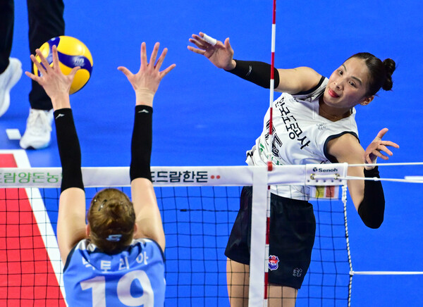프로배구 V리그 여자부 한국도로공사 타나차. /한국배구연맹 제공