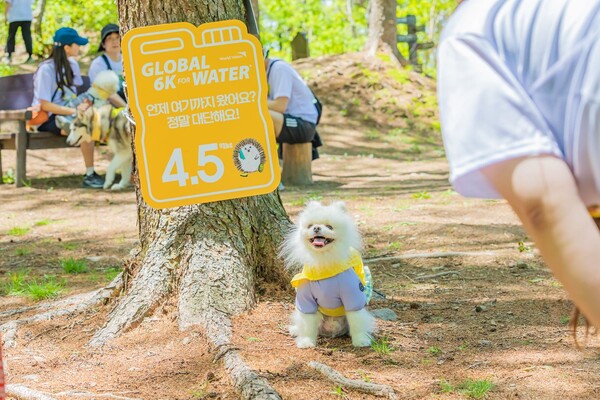 하이원리조트 댕댕트레킹. /강원랜드 제공