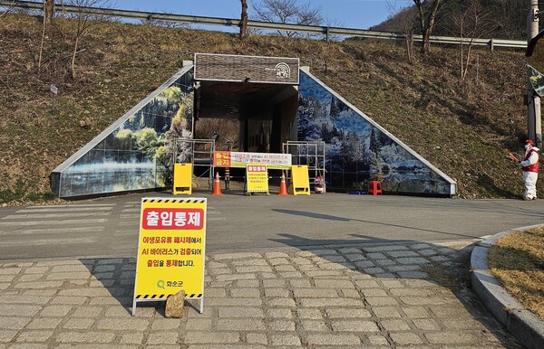 전남 화순군 세량제에서 야생 삵 폐사체 검사 결과 고병원성 조류인플루엔자(AI)가 검출됨에 따라 반경 10㎞ 방역 실시 했다./사진=전남도