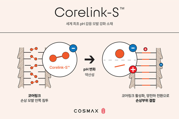 /코스맥스 제공.