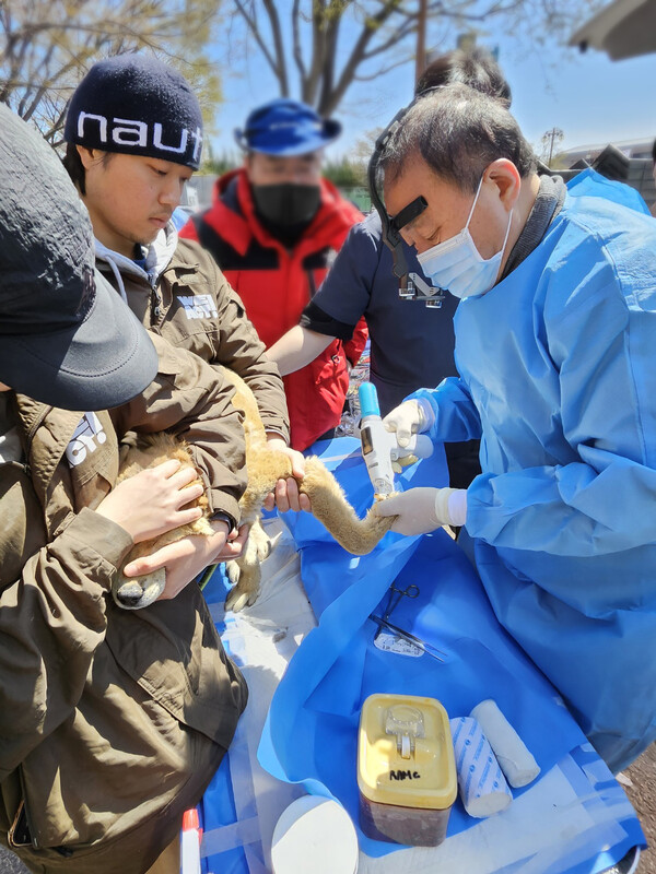 유한양행이 단일 재해로 역대 최대 규모의 피해를 남긴 산불피해로 고통 받고 있는 동물들을 위한 지원에 나선다. /유한양행 제공