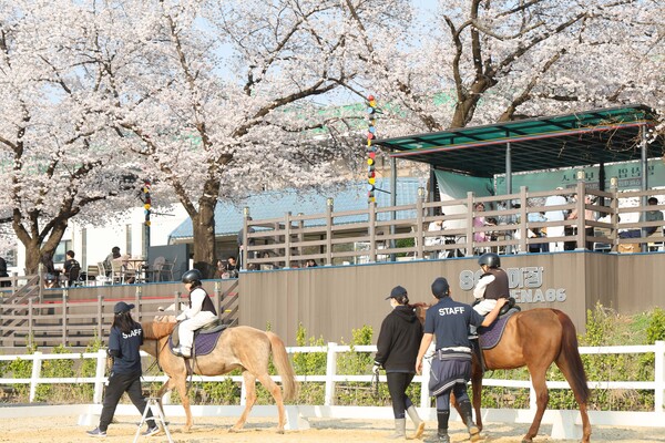 4월11일 서울경마공원 벚꽃축제 도심승마체험. /한국마사회 제공