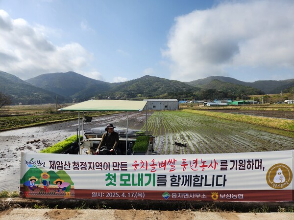 보성군, 올해 첫 ‘웅치 올벼쌀’ 모내기 시작_웅치면 대산리 박순선 농가에서 2025년산 웅치 올벼쌀 생산을 위한 첫 모내기를 시작했다. /사진=보성군