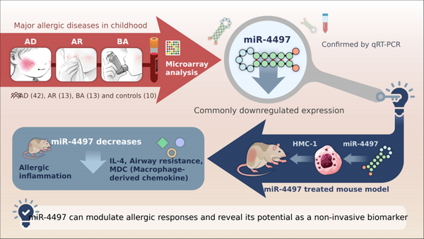 고려대학교 의과대학 연구팀이 아토피·비염·천식에서 공통으로 감소한 유전자 조절 물질을 발견했다./고려대학교의료원 제공
