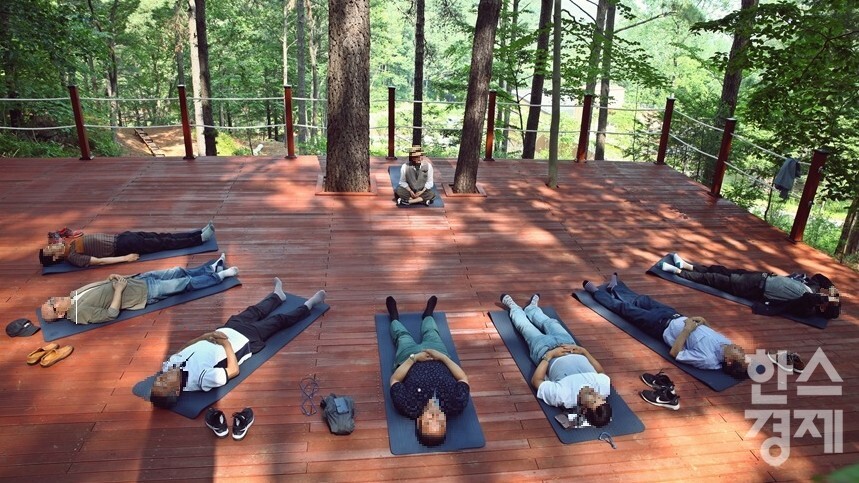 ▲광양 백운산 치유의 숲 (사진=광양시)